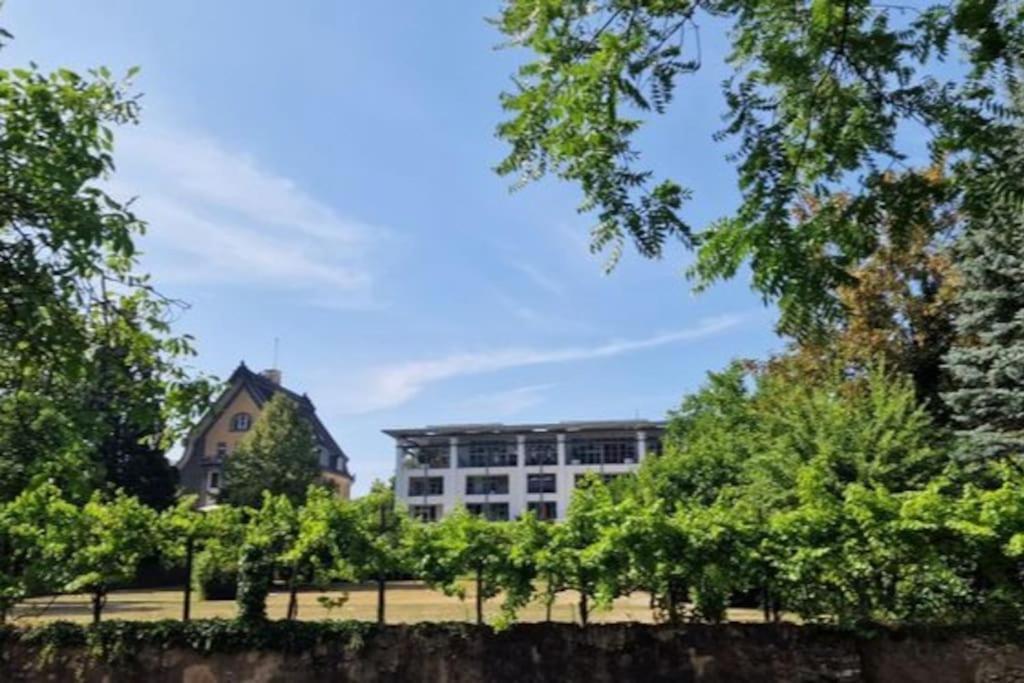 Wohnwerk: Penthouse - Moselblick Διαμέρισμα Traben-Trarbach Εξωτερικό φωτογραφία